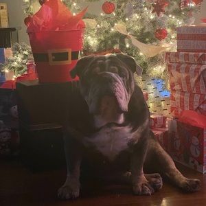 Meet your Posher, Jen